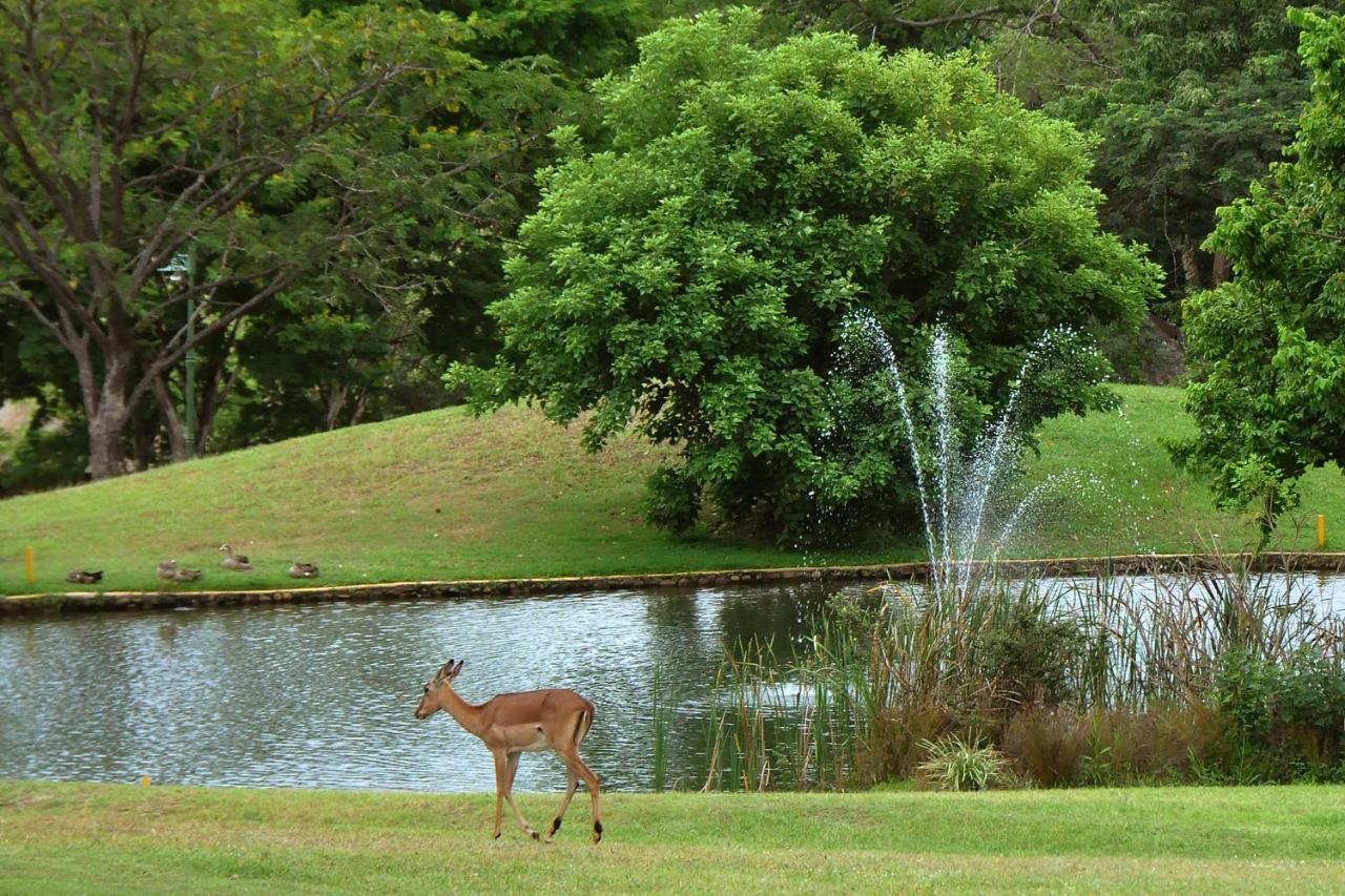 Kruger Park Lodge Unit No. 524 Hazyview Eksteriør bilde